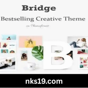 Bridge Theme GPL v30.8.8.5 – Creative Multipurpose WordPress Website