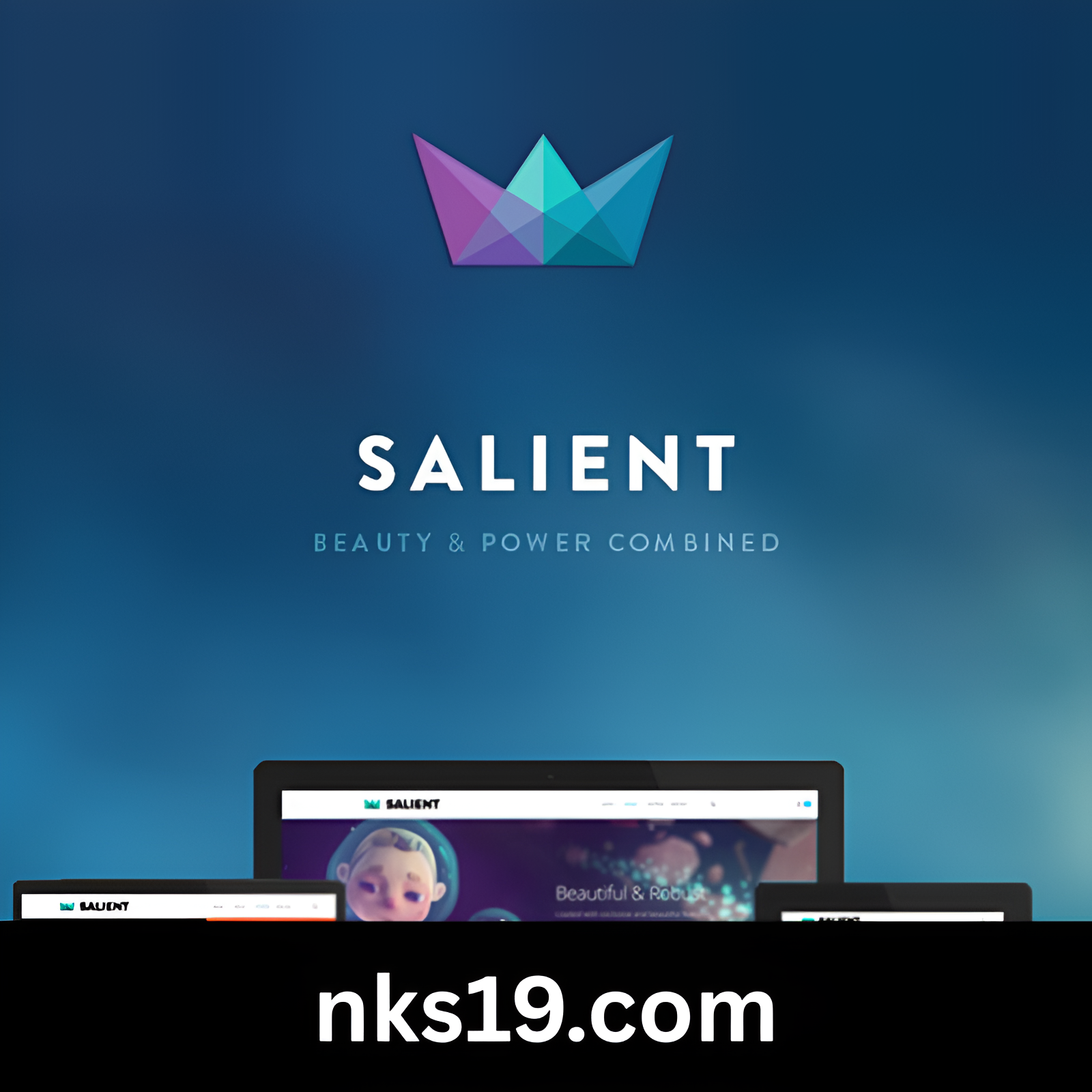 Salient Theme GPL v17.4.1
