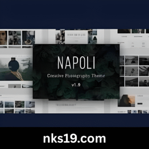 Napoli Theme GPL 2.4.5 Latest Version