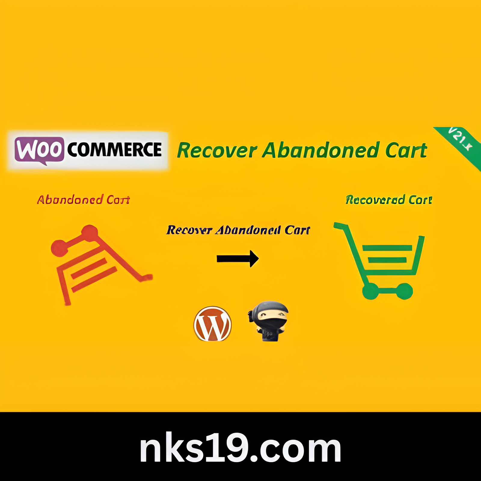 WooCommerce Recover Abandoned Cart GPL v24.9.0