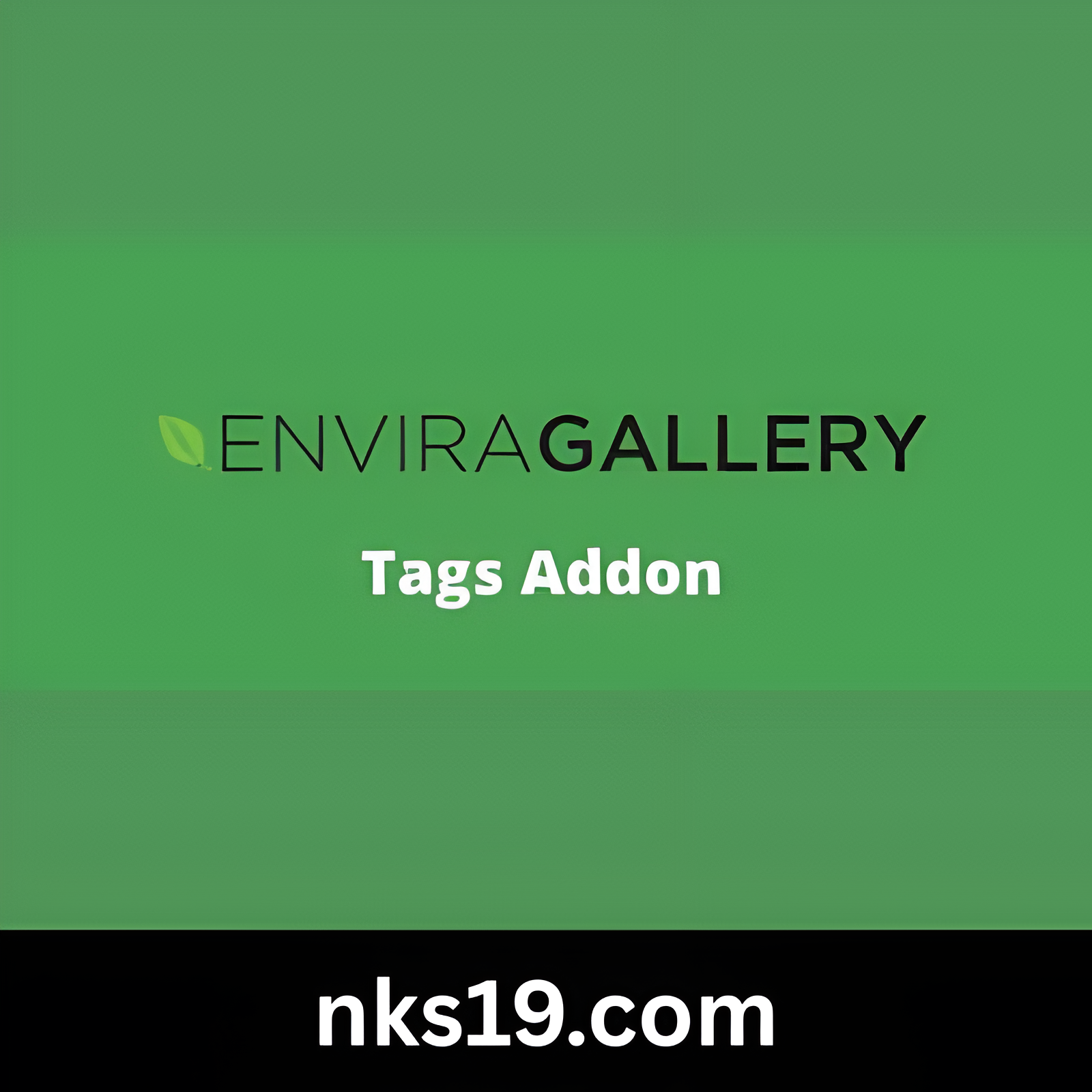 Envira Gallery Search GPL v1.0.0