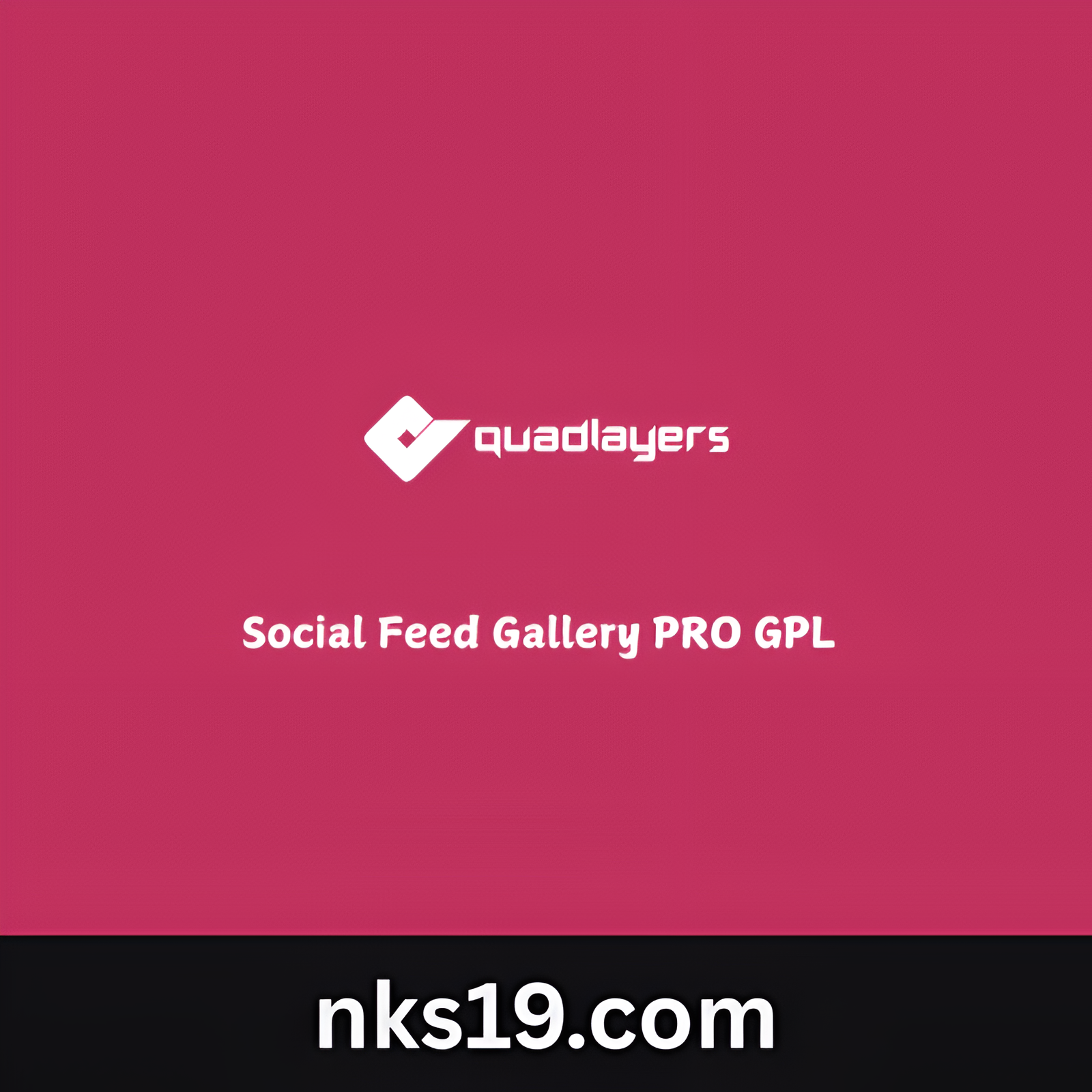 Social Feed Gallery PRO GPL v4.4.4 – Quadlayers